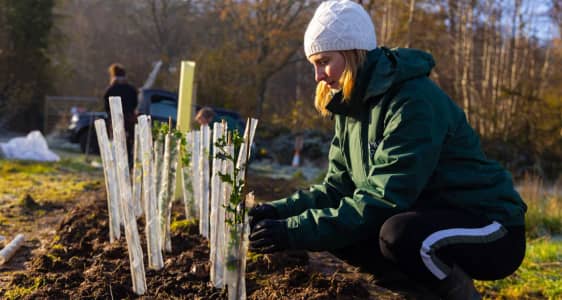 Our Earth Day Reforestation Project: An Update