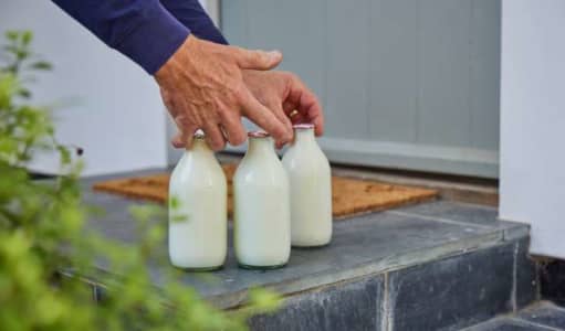 World Milk Day: Simple Ways to Enjoy Fresh Milk Every Day