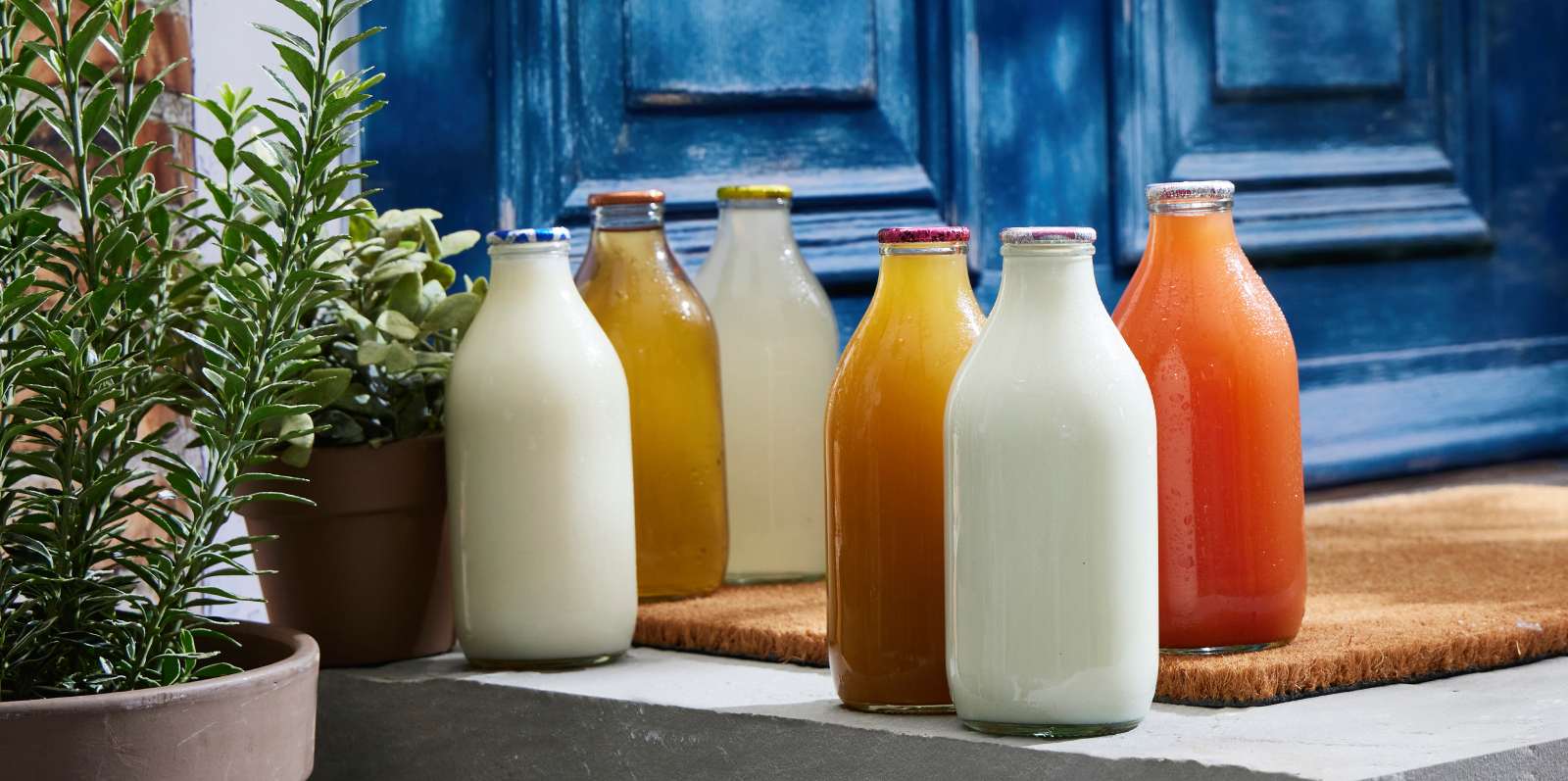 glass bottled milk andjuice