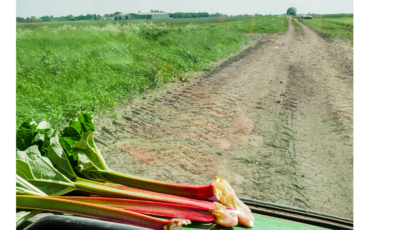 Wholegood rhubarb