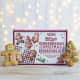 Lottie Shaw's Christmas Gingerbread Decorating Kit, 140g