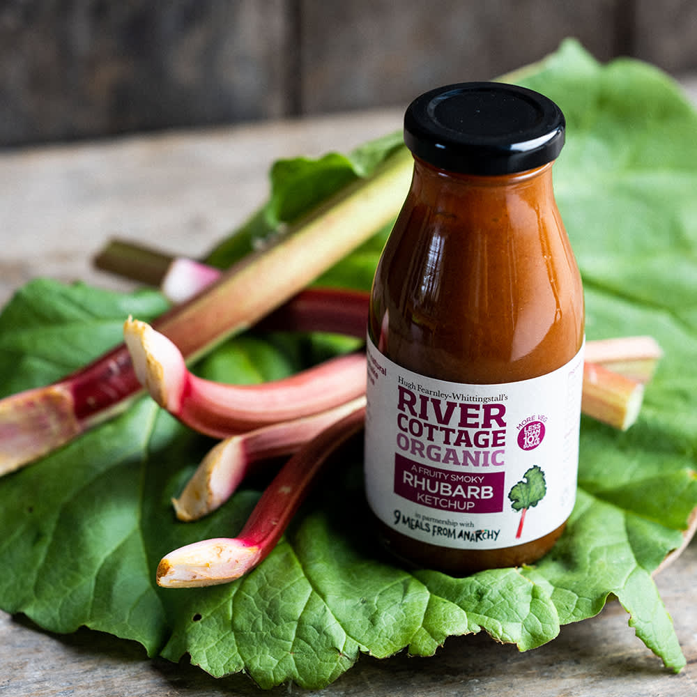 River Cottage Organic Rhubarb Ketchup in Glass, 250g
