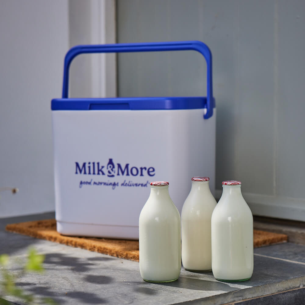 Milk & More Cool Box, 20L