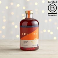 Pentire Coastal Spritz in Glass, 70cl