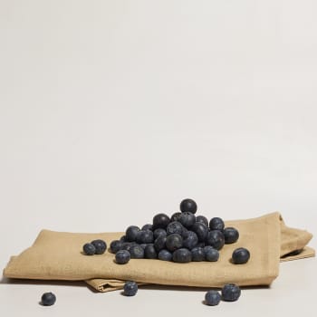 Organic Blueberries, 125g