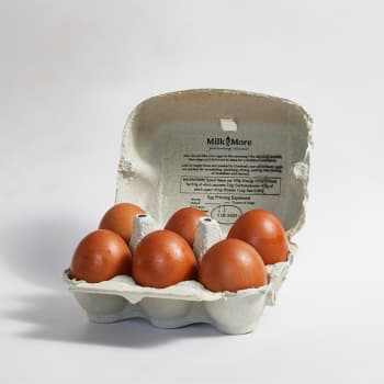 Milk & More Medium Free Range Eggs, 6 Pack