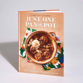 Just One Pot or Pan Cookbook