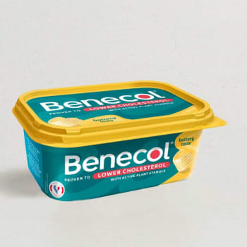 Benecol Buttery Spread, 500g