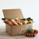 Organic Vegetable and Salad Box Organic Vegetable and Salad Box