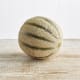 Organic Cantaloupe Melon Organic Cantaloupe Melon