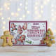 Lottie Shaw's Christmas Gingerbread Decorating Kit, 140g Lottie Shaw's Christmas Gingerbread Decorating Kit, 140g