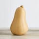 Organic Butternut Squash Organic Butternut Squash