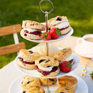Classic Blueberry Scones with Summer Fruits 