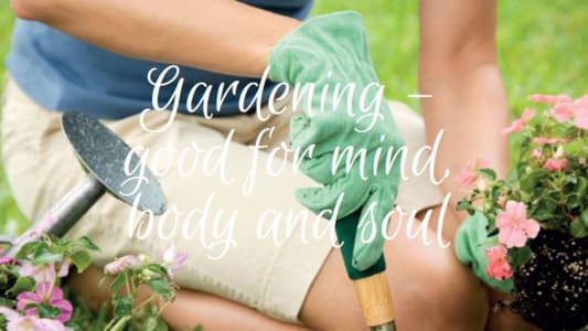 A Snippet From The Dairy Diary 2024: Gardening – Good For Mind, Body and Soul 
