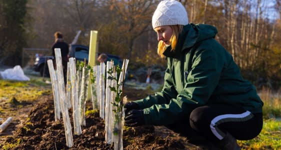 Our Earth Day Reforestation Project: An Update