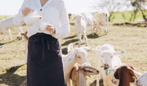 Goats Milk Guide: Why More People Are Adding It to Their Everyday Routine