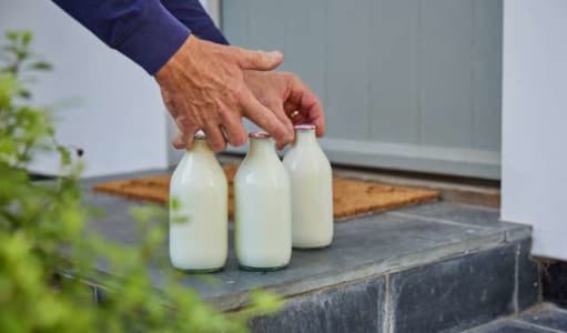 World Milk Day: Simple Ways to Enjoy Fresh Milk Every Day