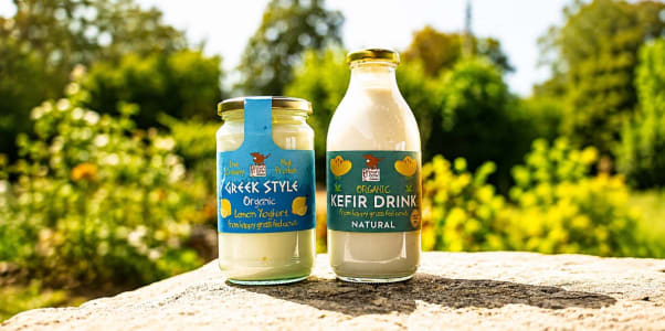 Gut Health 101: What Kefir and Live Yoghurt Actually Do