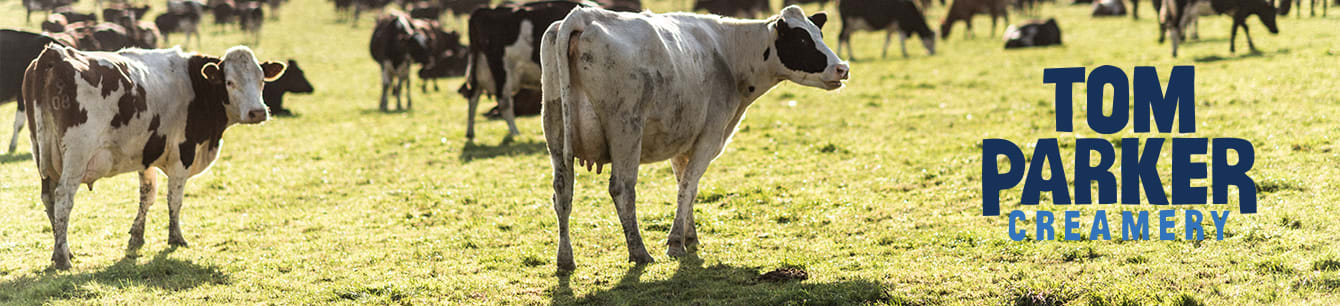 Tom Parker Creamery Family Farm in Hampshire