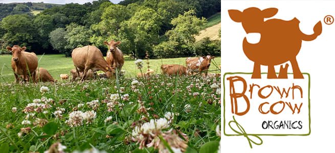 Brown Cow Organics