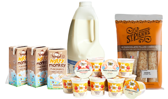kids lunchbox bundle
