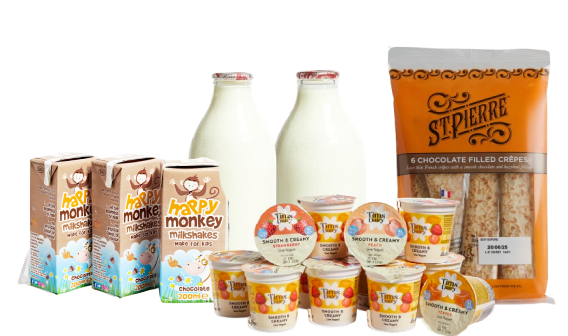 kids lunchbox bundle