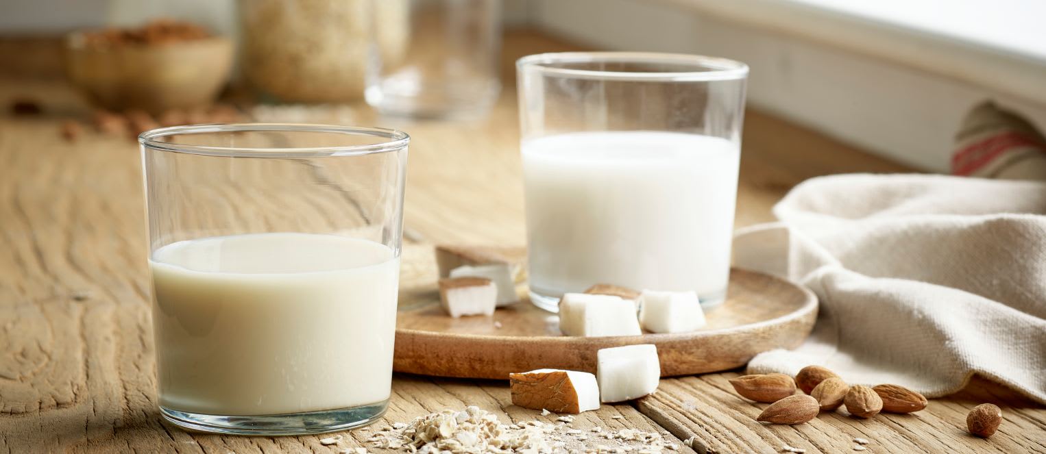 dairy-free milk alternatives