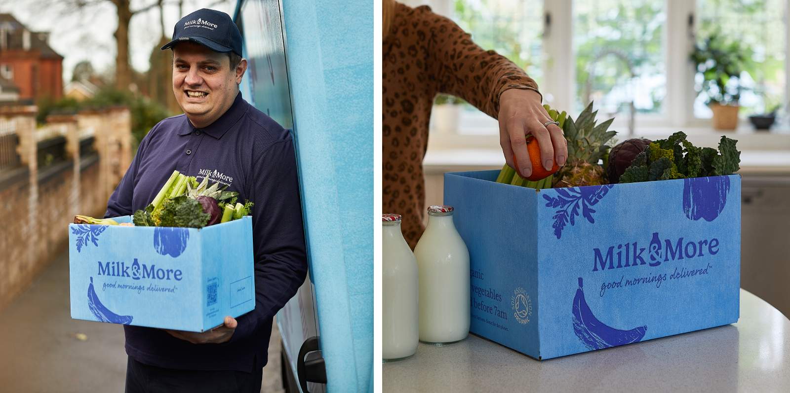 fresh fruit and veg boxes