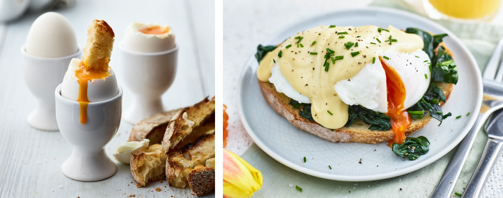 poached and scrambled eggs