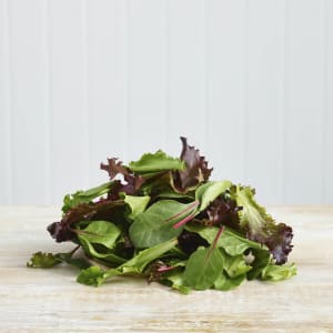 Roots and Fruit Baby Mixed Leaf Lettuce, 100g